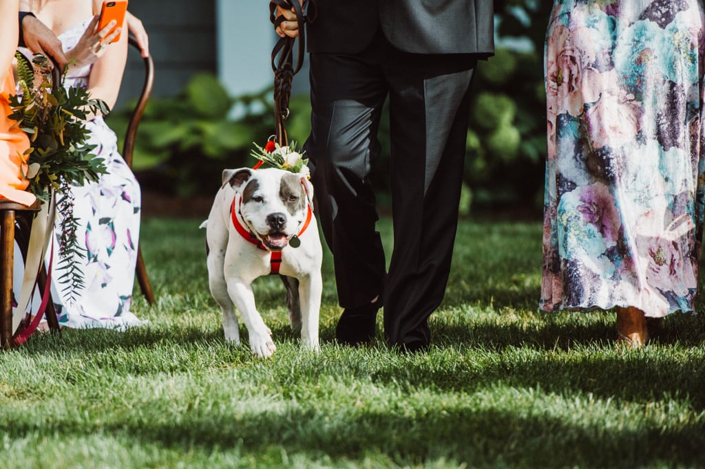 Relaxed Outdoor Wedding