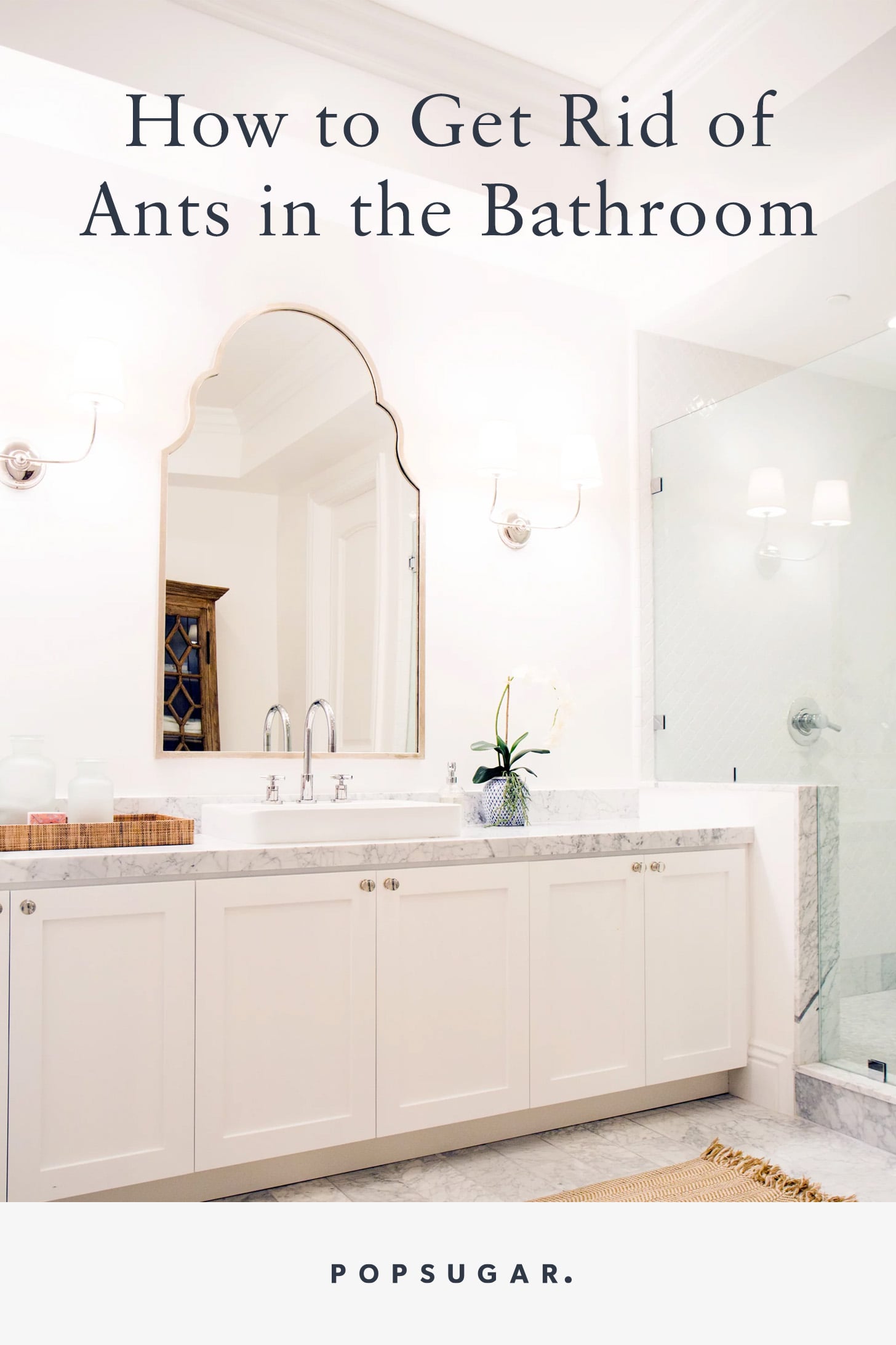 How to Get Rid of Ants in the Bathroom | POPSUGAR Home