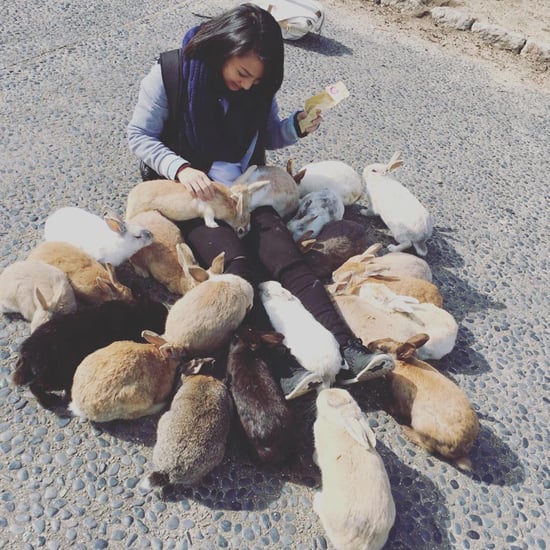 Okunoshima Bunny Island Japan