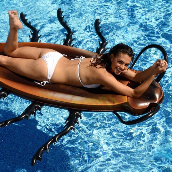 Cockroach Pool Float