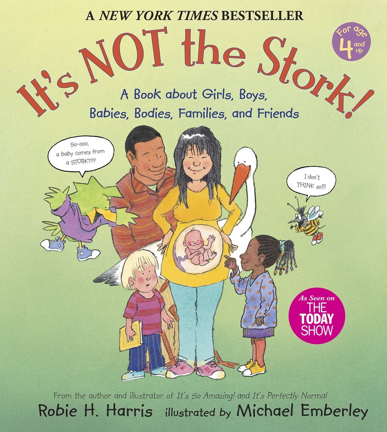 It's Not the Stork!: A Book About Girls, Boys, Babies, Bodies, Families, and Friends