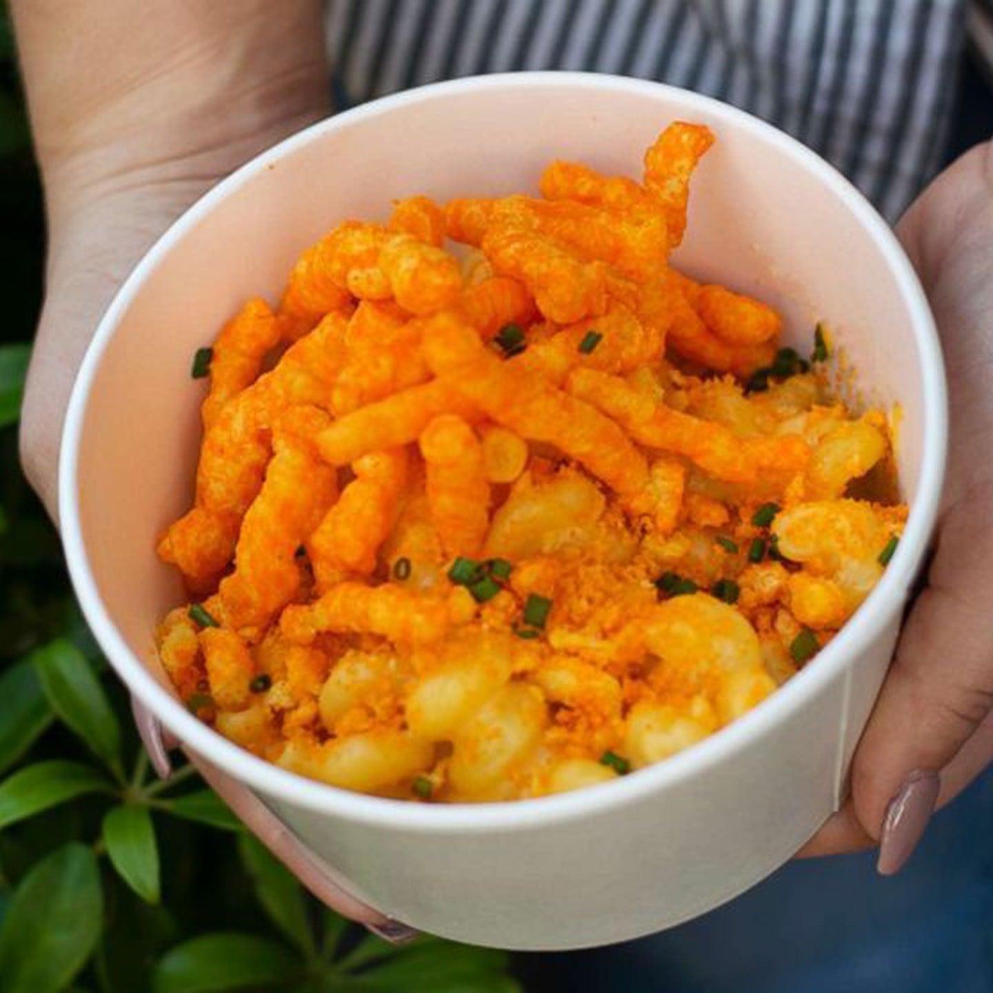 Disney World Mac And Cheese Food Truck Popsugar Food Ms mac n cheese is calgary's first mac n cheese food truck serving up comfort food in every bowl since 2016. disney world mac and cheese food truck