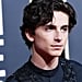 Hot Timothée Chalamet Pictures