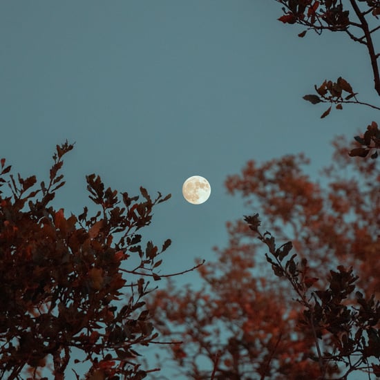 A Spiritual Limpia For This Full Moon in Taurus