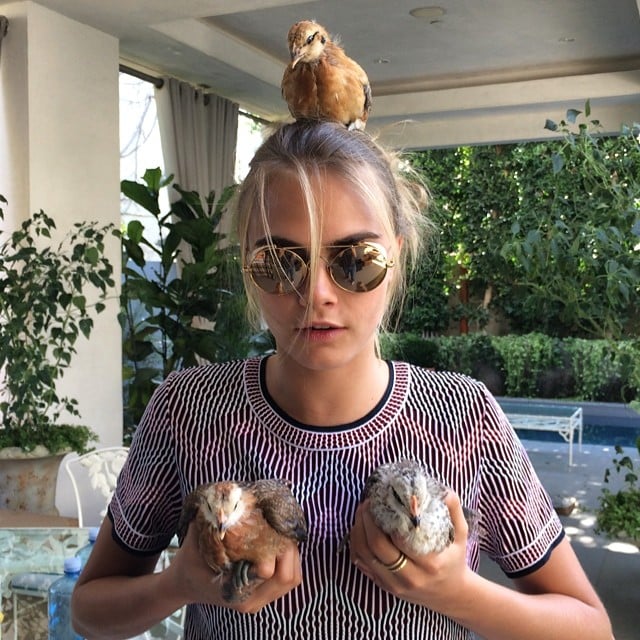 Cara put a bird — make that chicken — on it. 
Source: Instagram user caradelevingne