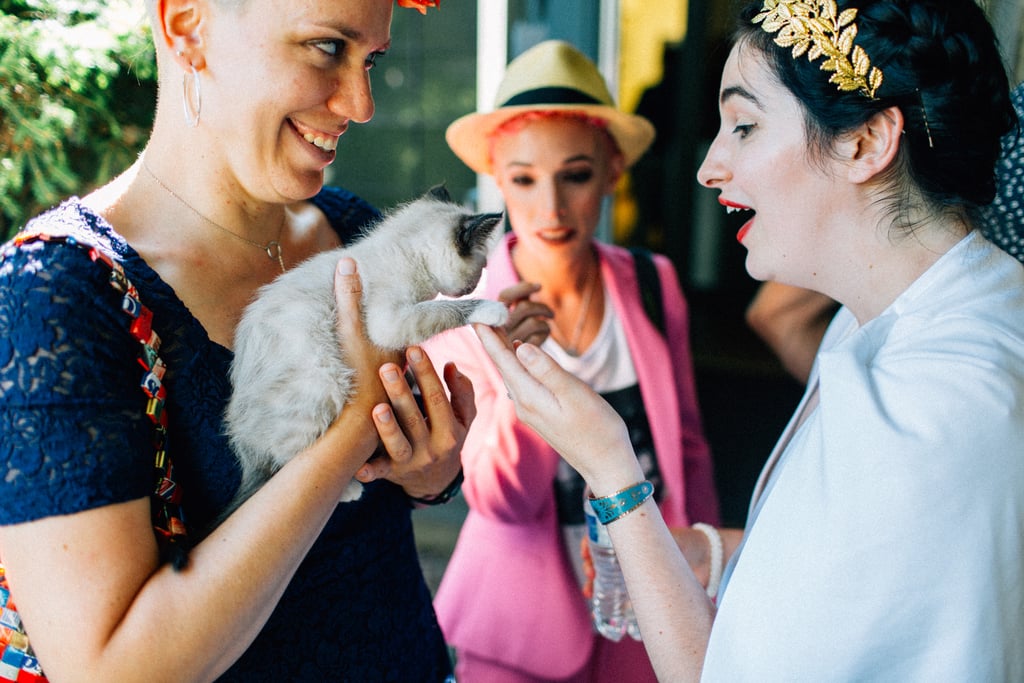 Couple Has Kitten Hour at Their Wedding