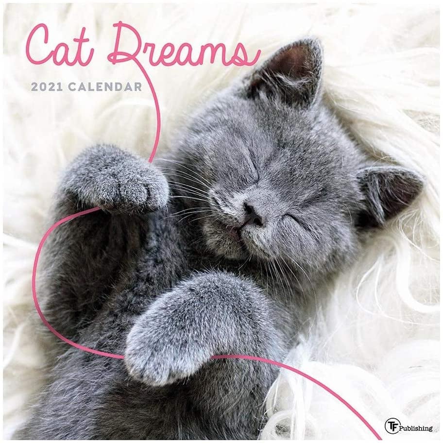 2021 Cat Dreams Monthly Wall Calendar