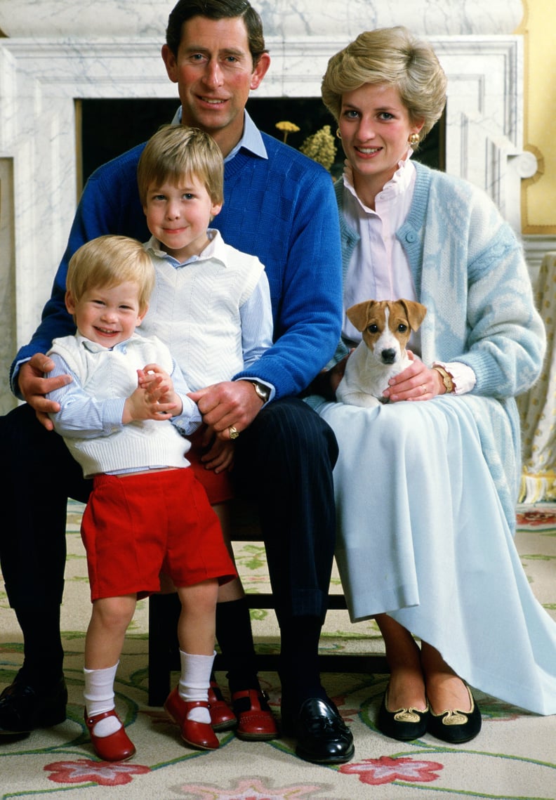 Prince Harry Poses For a Family Portrait in December 1986