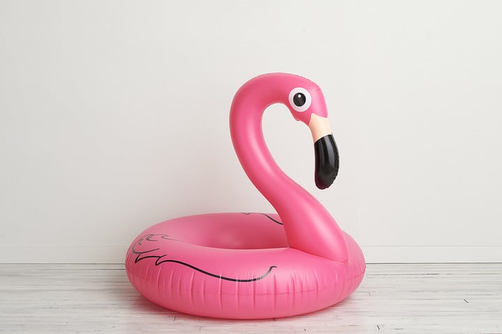 Flamingo Pool Float