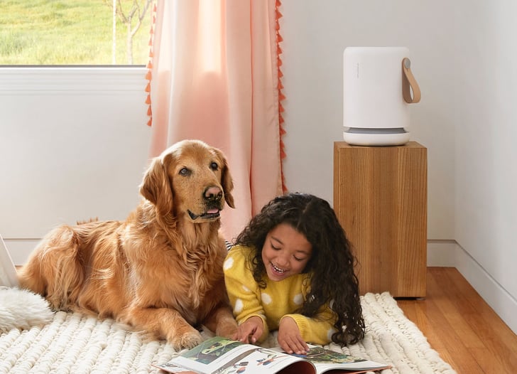 pet clean air purifier