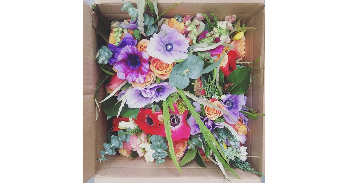 Petal by Pedal The Best Flower Delivery Services POPSUGAR Home Photo 5