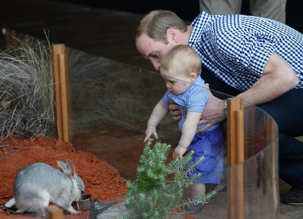 When He Showed George a Bilby in Australia