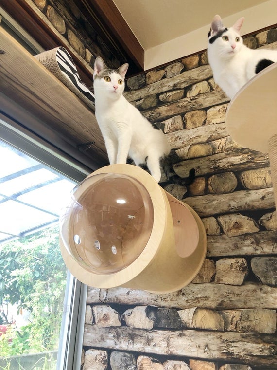 Wall-Mounted Cat House