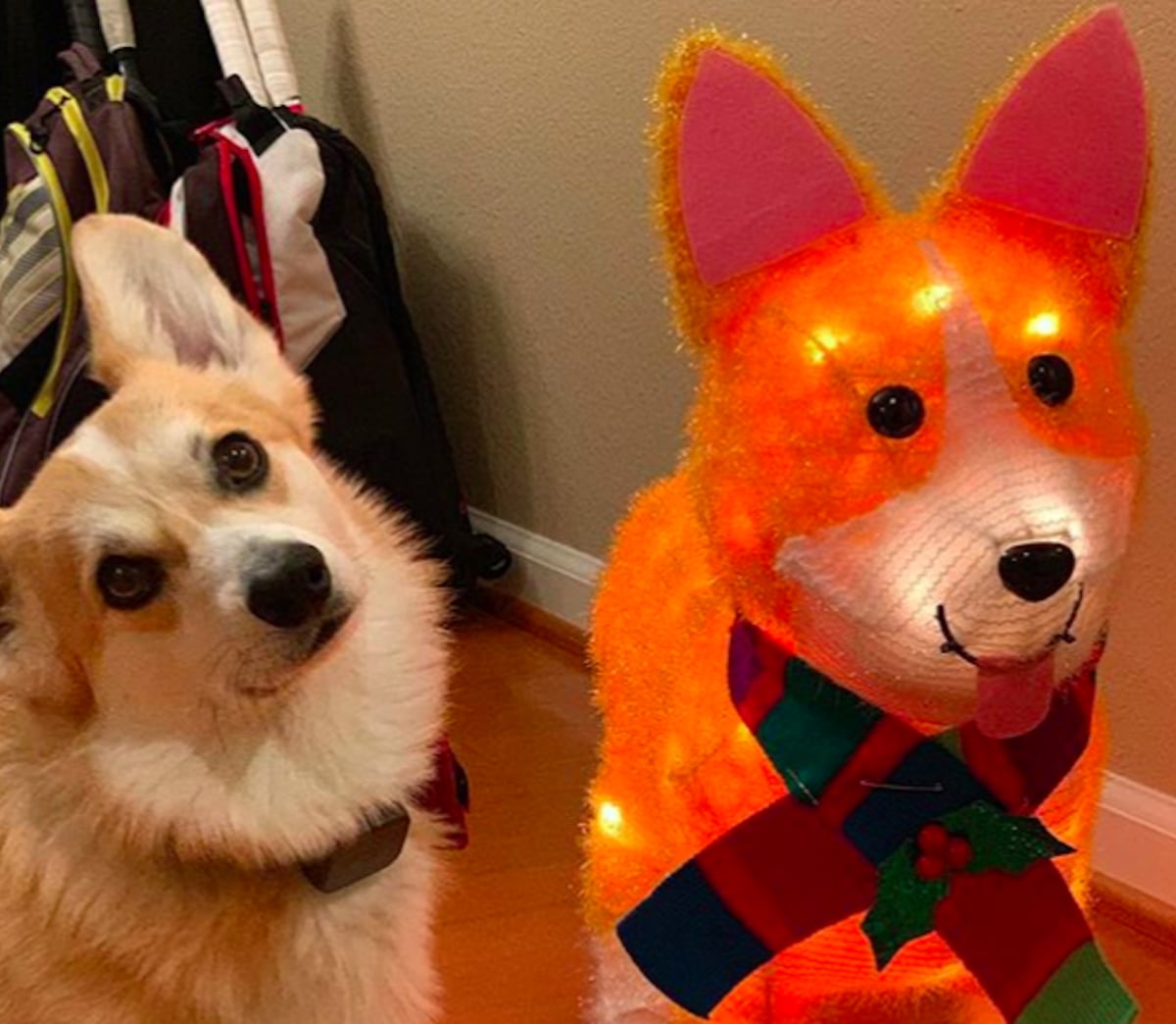 Target christmas corgi clearance