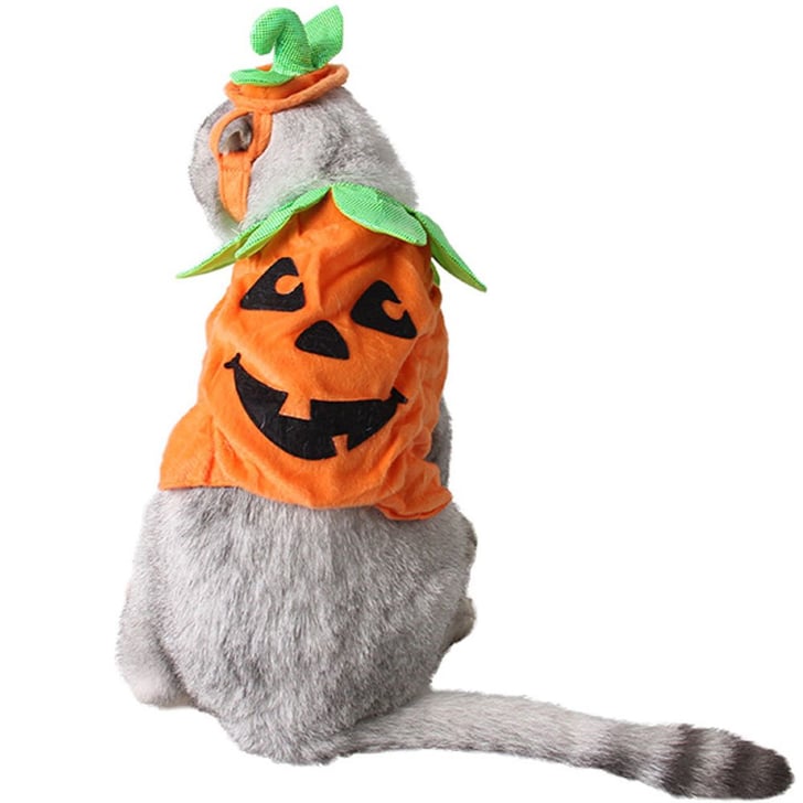 Pumpkin Costume Best Cat Costumes For Halloween 2020 POPSUGAR Pets