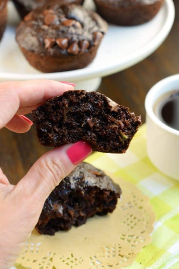 Chocolate Zucchini Muffins