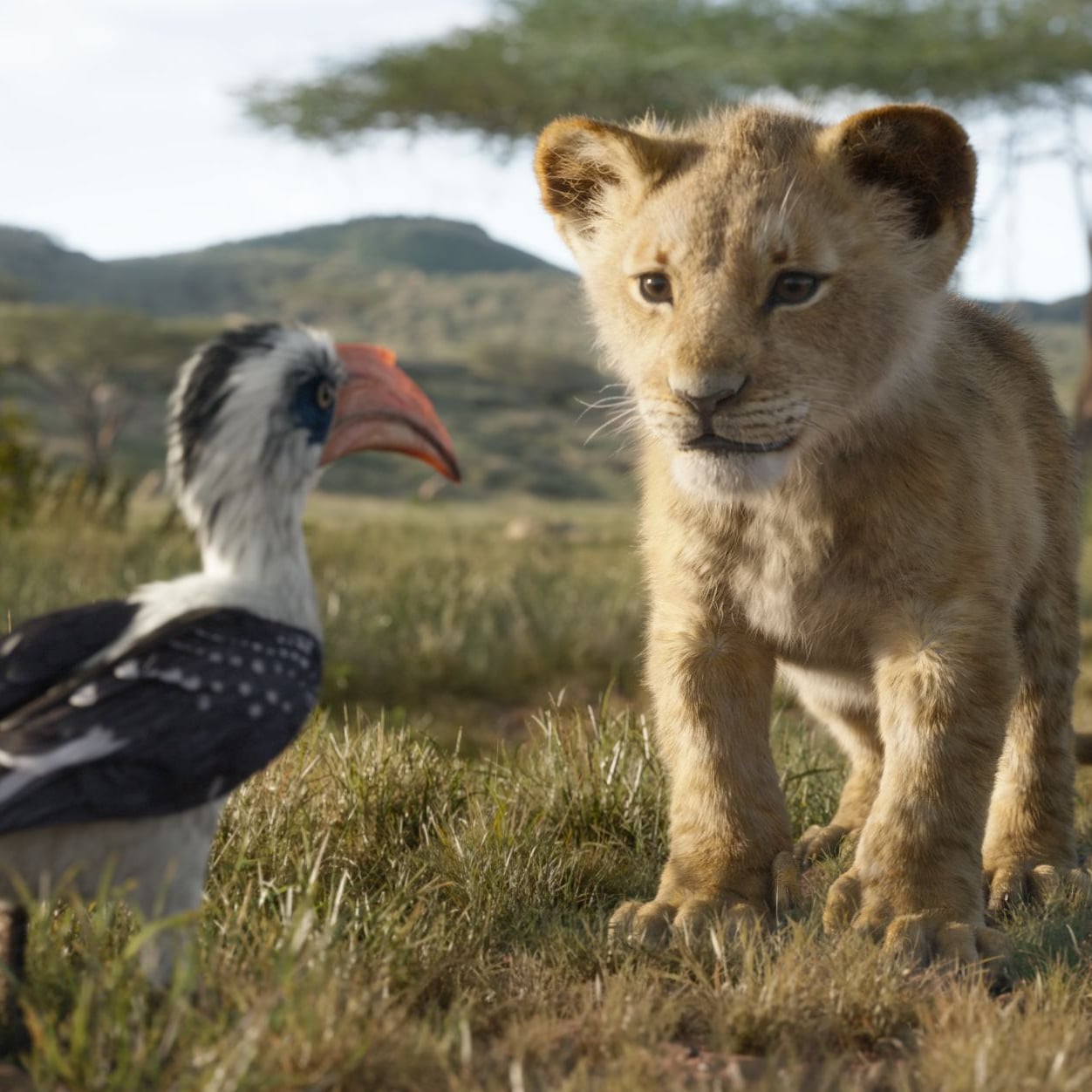 The Lion King 2019 Movie Soundtrack Popsugar Entertainment