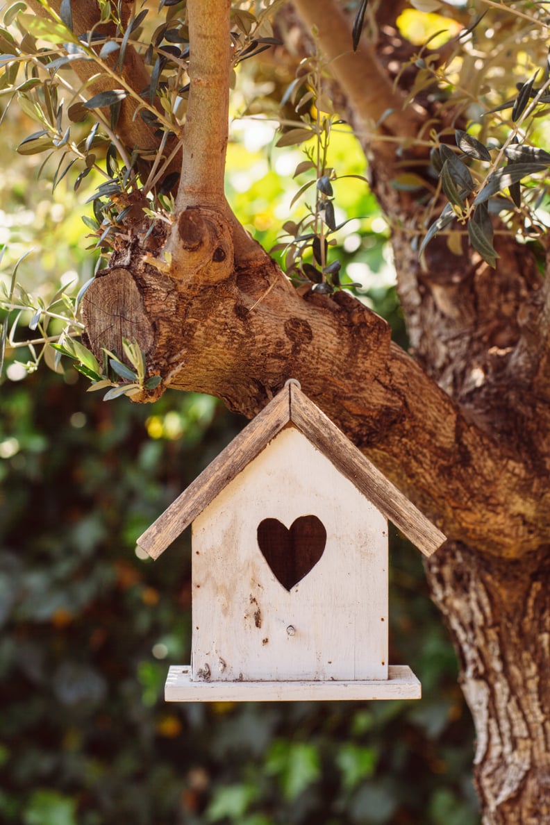 Build a birdhouse.