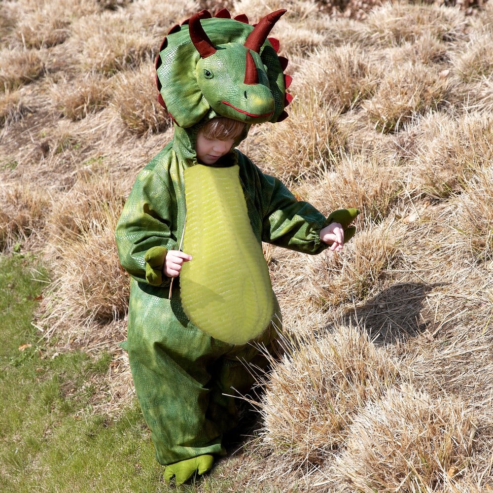 Dinosaur Dress-Up Costume