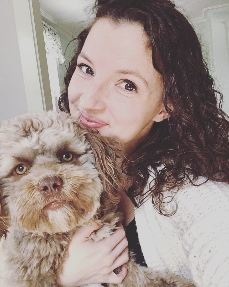 The Dog That Looks Like A Person Popsugar News