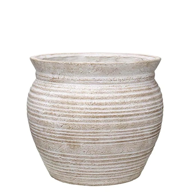 A Giant Planter: Allen + Roth White Washed Terracotta Mixed/Composite Planter