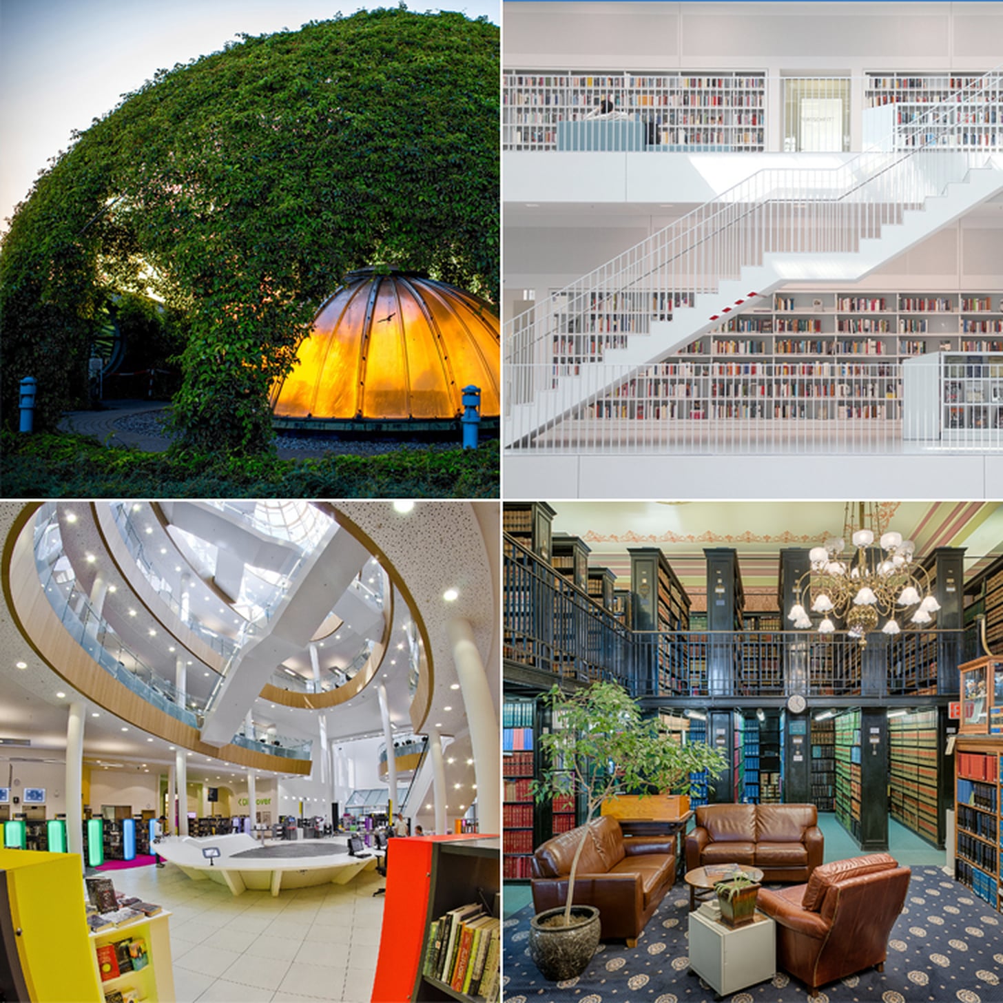 Libraries Based on Your Astrological Sign | PS Smart Living