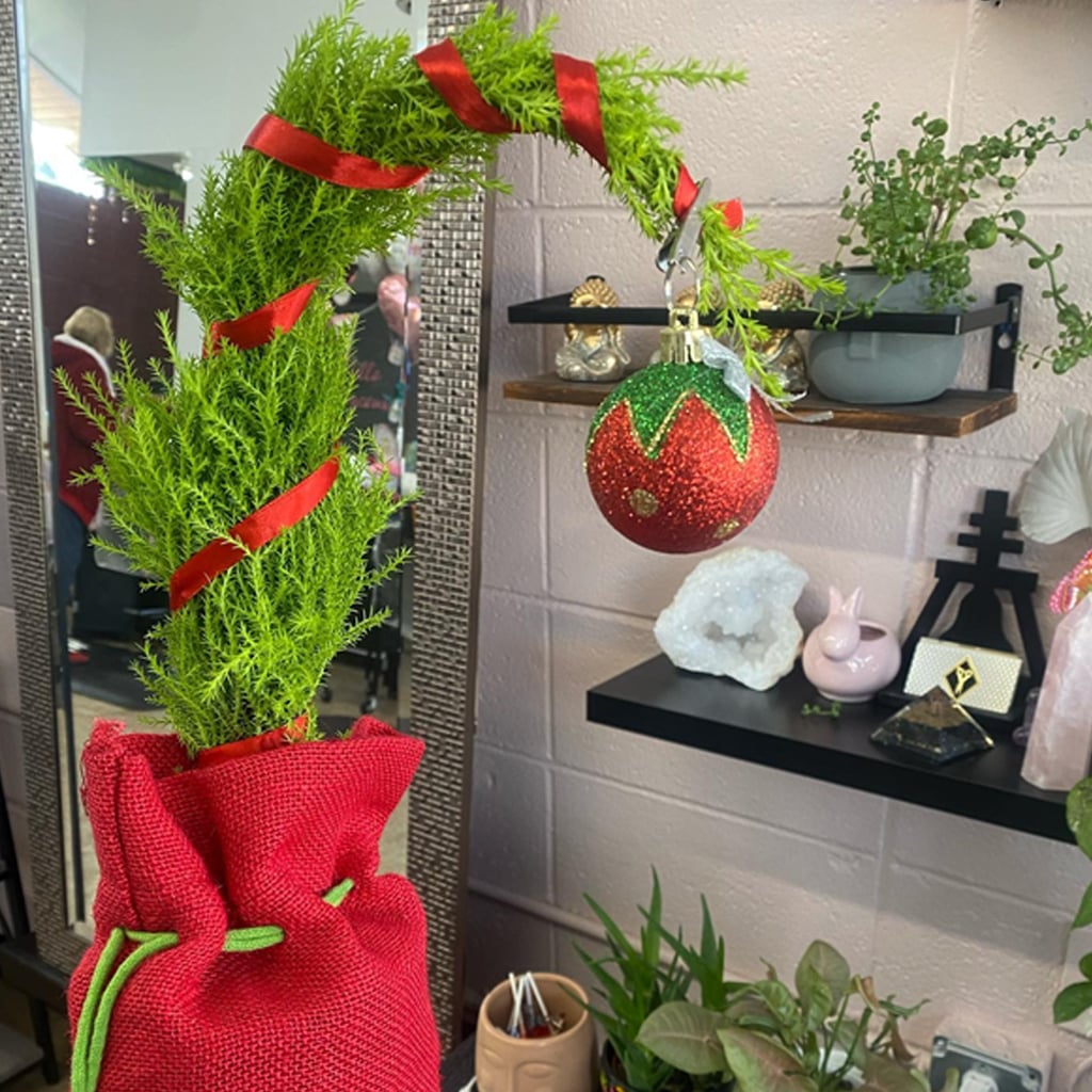 Trader Joe's Mini Grinch-Inspired Christmas Trees Grow Up to 30 Feet Tall