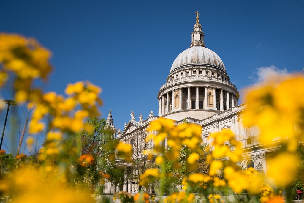 Bright yellow flowers popped up near St. Paul's Cathedral in London.