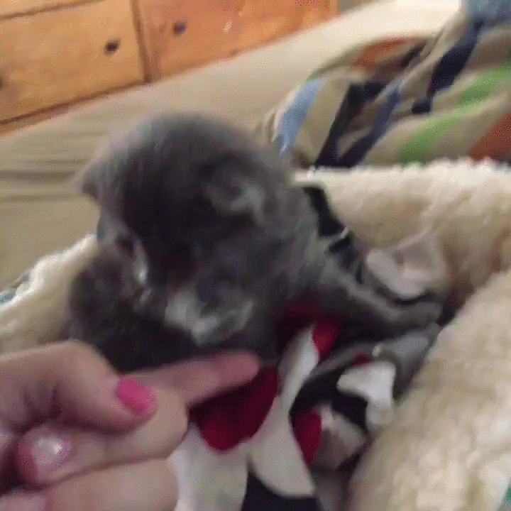 Low five!