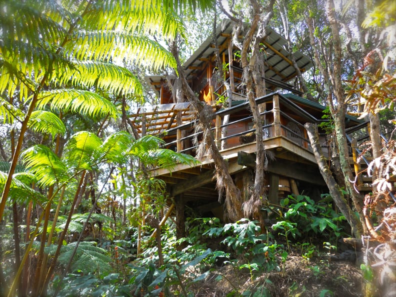 Exotic Treehouse at Kilauea Volcano, Hawaii