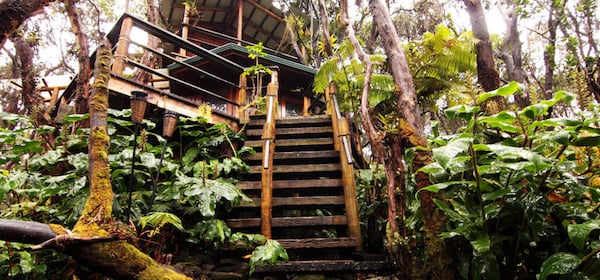 <a href="https://www.airbnb.com/rooms/50724"><b>21. Treehouse at Kilauea Volcano - Volcano, Hawaii</b></a>