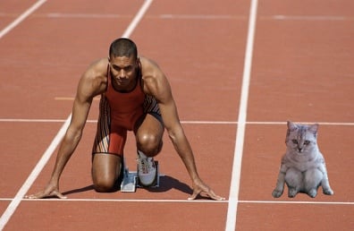 Running Cat