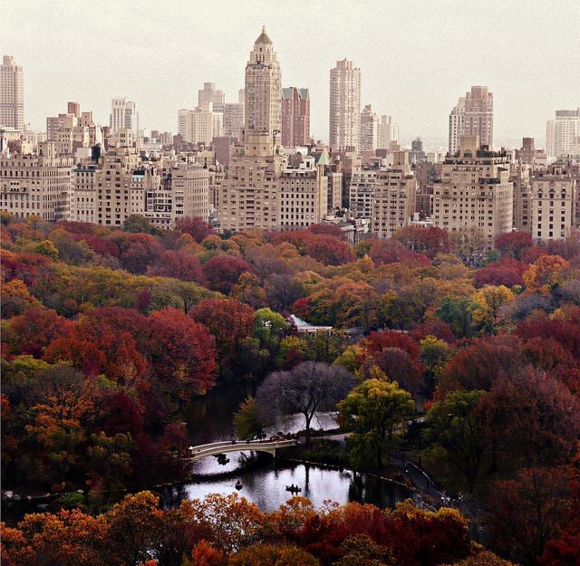 Central Park, NY