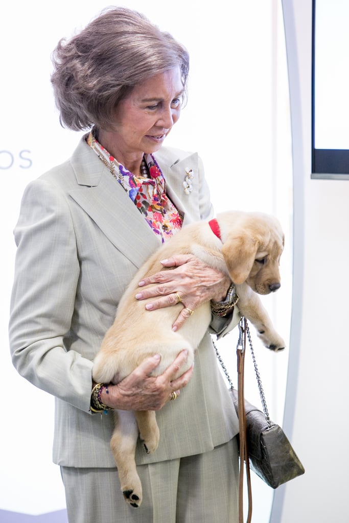 Queen Sofia of Spain With Puppies at Event
