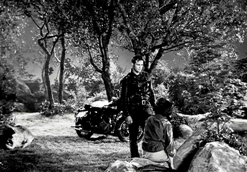 The Bad Boy Kiss