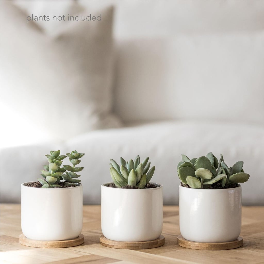 Set of Three 4" White Ceramic Pots