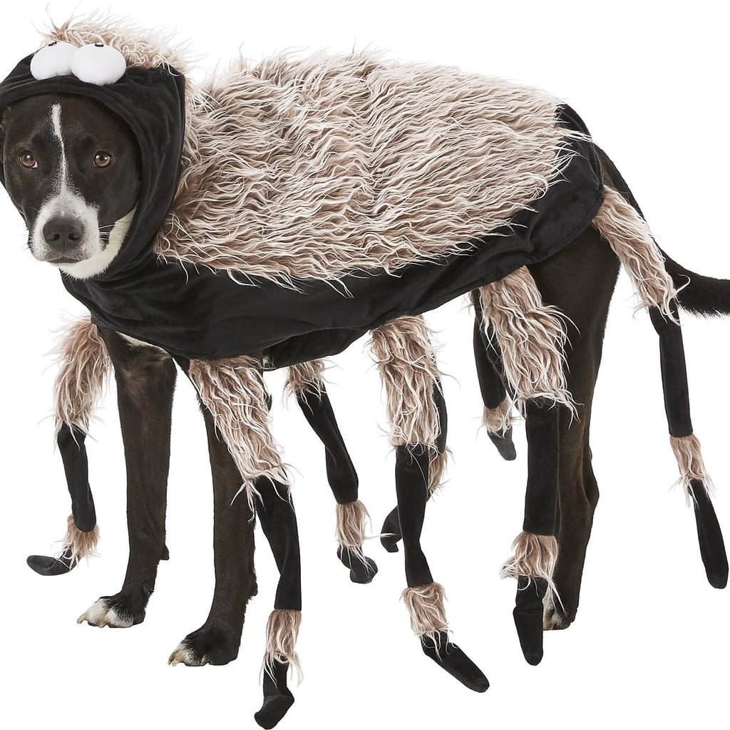 Funny Tarantula Dog Costume For Halloween