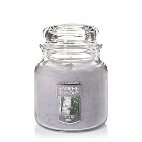 Silver Birch Medium Classic Jar Candle