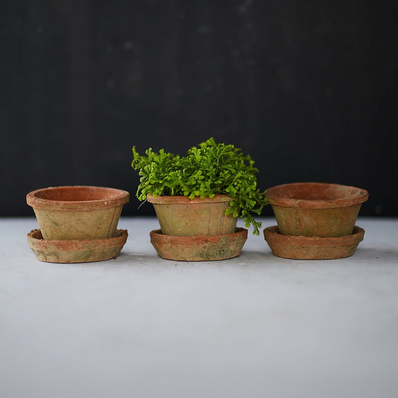 Earth Fired Clay Thin Rim Pot and Saucer