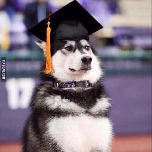 Graduation Memes