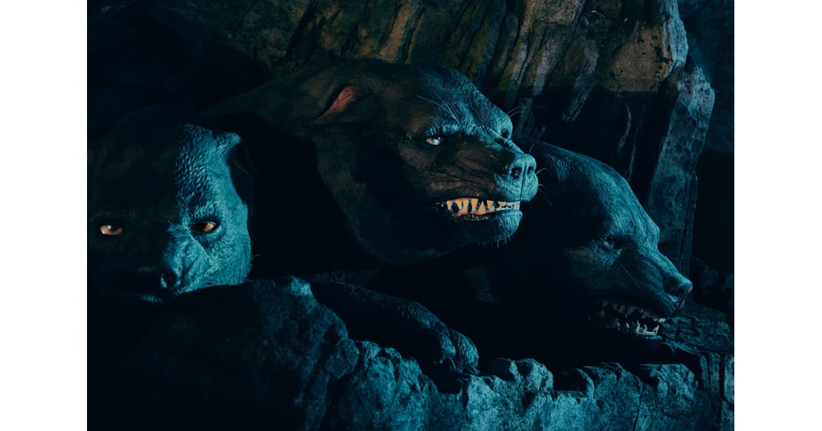 Fluffy the ThreeHeaded Dog Photos of Hagrid’s Magical Creatures