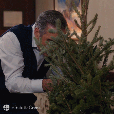 "Schitt's Creek": "Merry Christmas Johnny Rose"