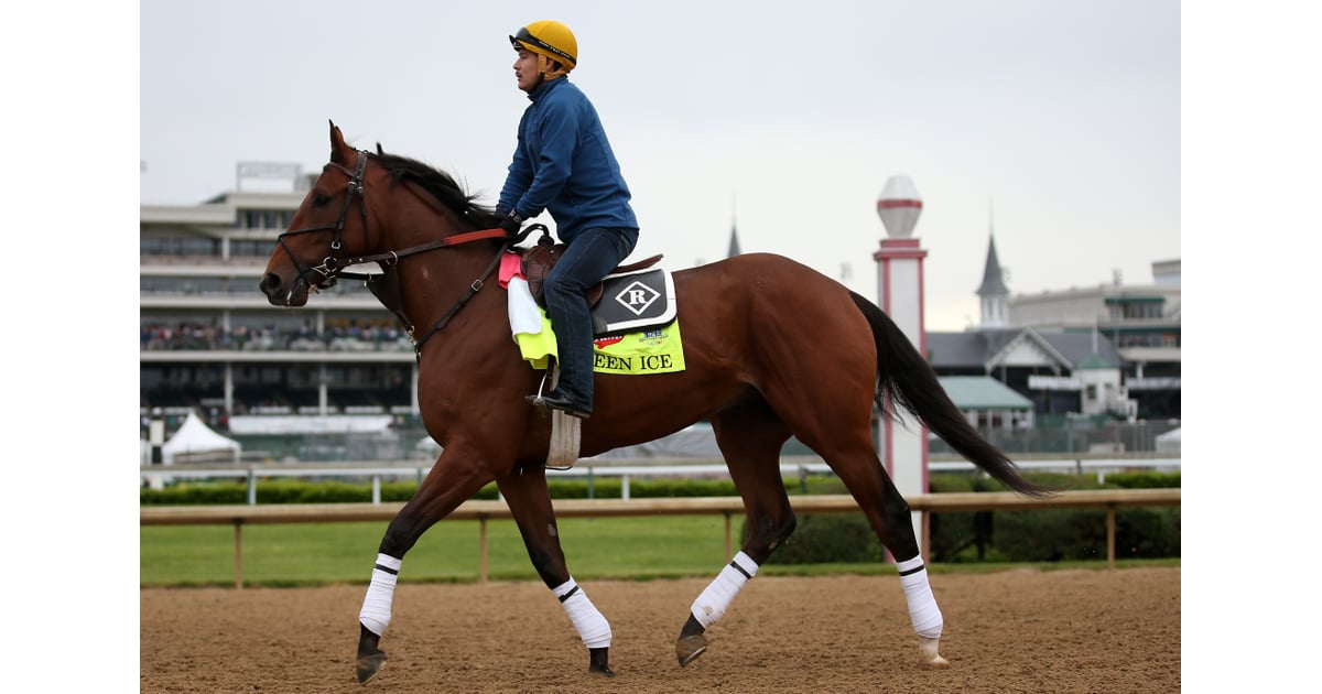 Keen Ice Kentucky Derby Horses 2015 POPSUGAR Pets Photo 14