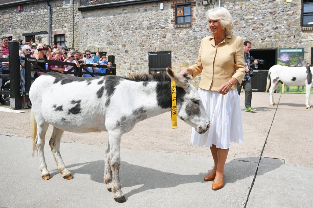 Camilla Parker Bowles Birthday Photos 2019