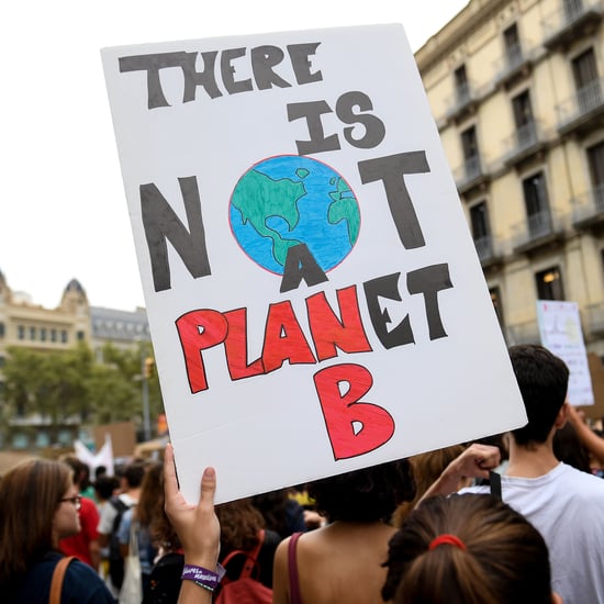 How Ecofeminism Can Help Combat Climate Change