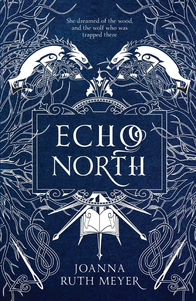 Echo North by Joanna Ruth Meyer