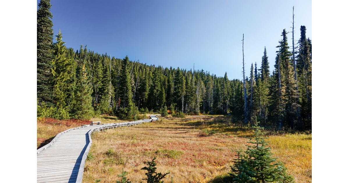 Courtenay, BC, Canada | The Top 20 Travel Destinations For 2020