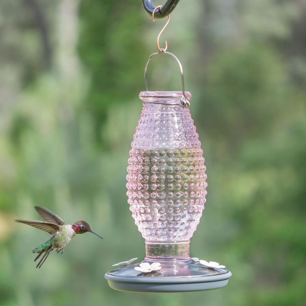 Perky-Pet Cranberry Hobnail Decorative Glass Hummingbird Feeder