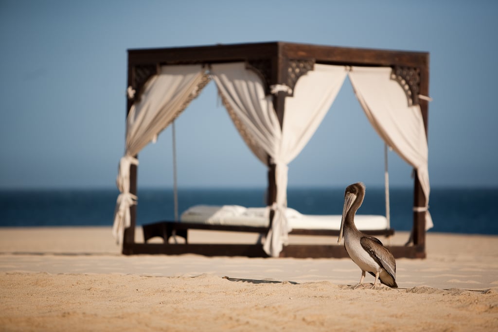 Beach Wedding in Cabo San Lucas