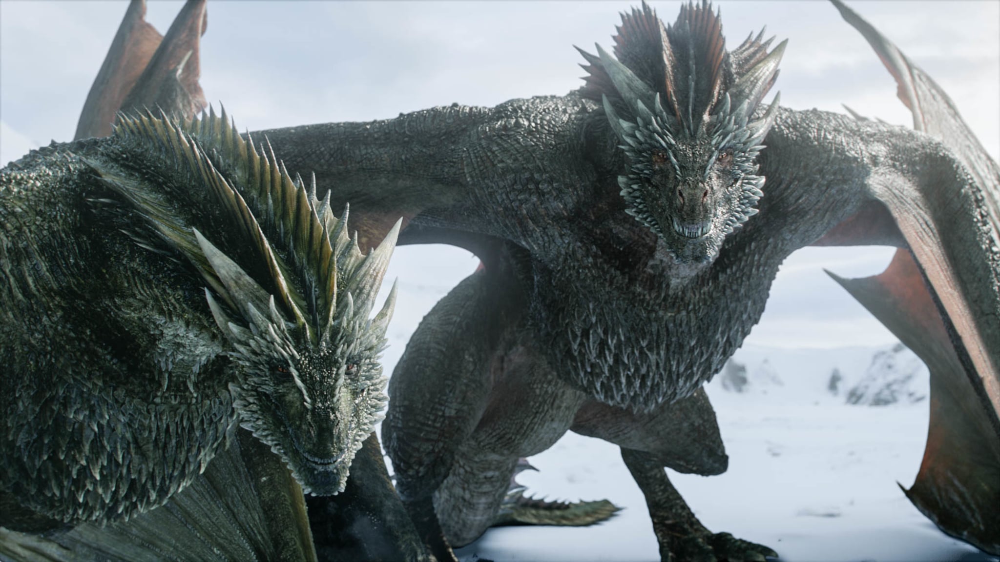 Game Of Thrones Theory That Drogon Is Khal Drogo Popsugar